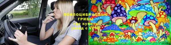 гидра Балабаново