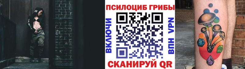 Купить где  Новосибирск  Галлюциногенные грибы Psilocybine cubensis 